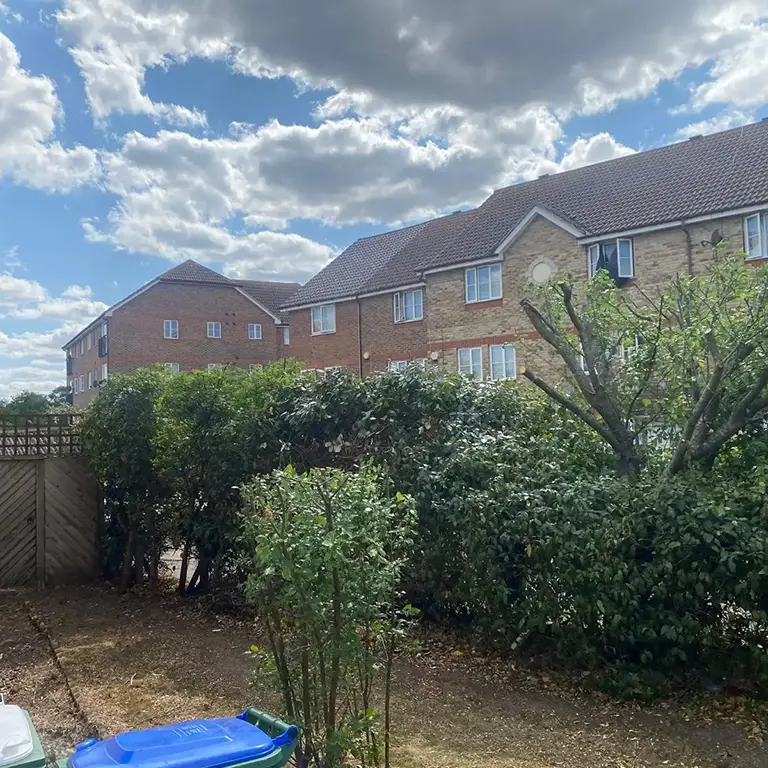 hedge trimming in woolwich